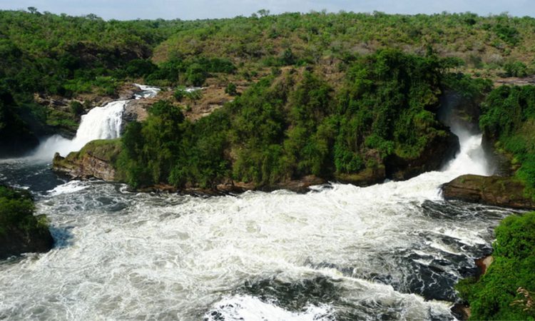 13 Days Rwanda Uganda safari