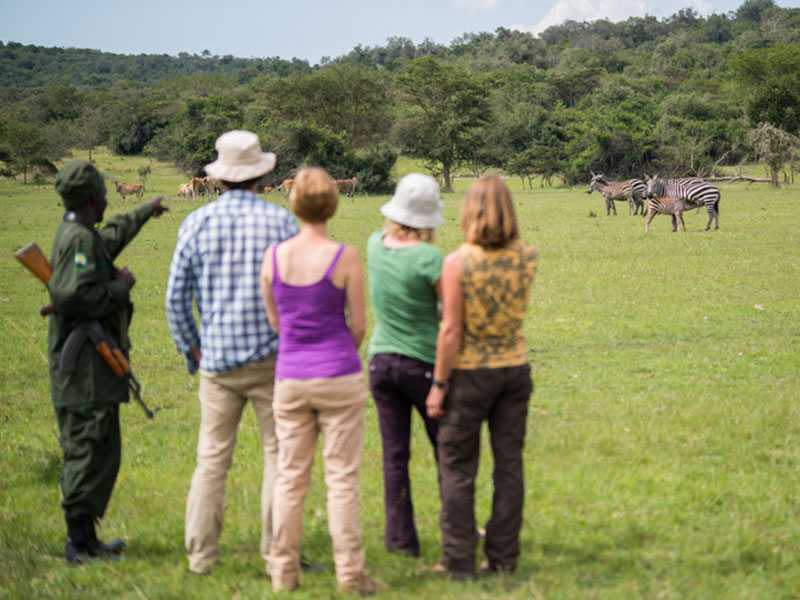 Walking safari in mburo