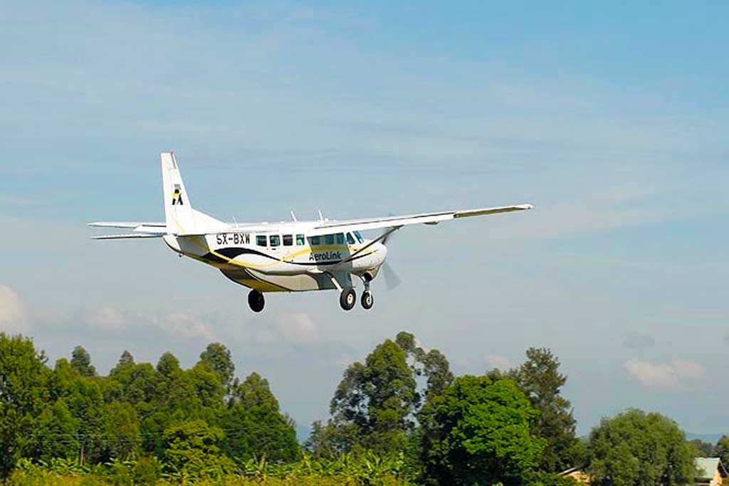 4 Days Fly in Gorilla Tracking