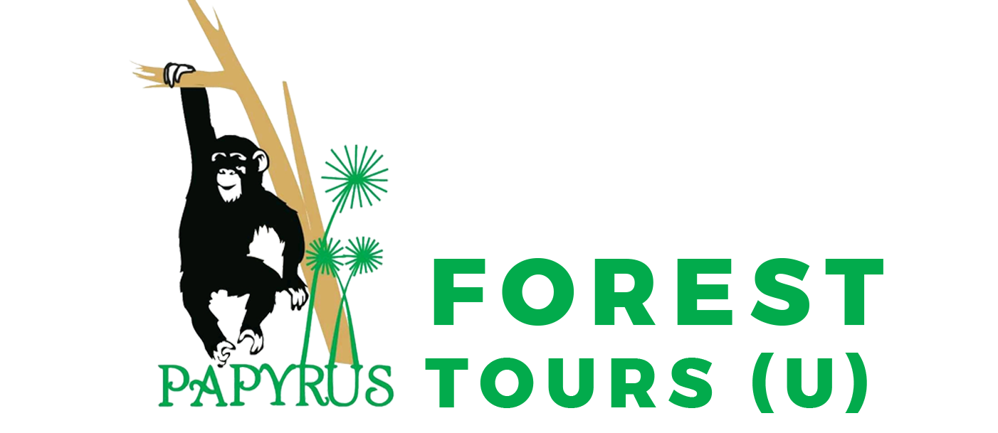 PAPYRUS LOGO