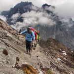 Gorilla trekking in Uganda